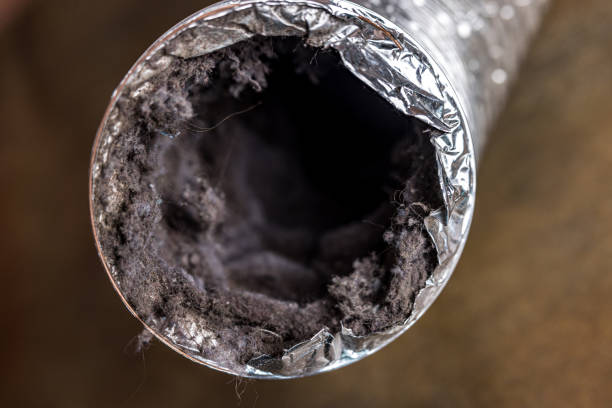 Best Professional Duct Cleaning Services  in Summit View, WA